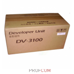   () Kyocera DV-3100