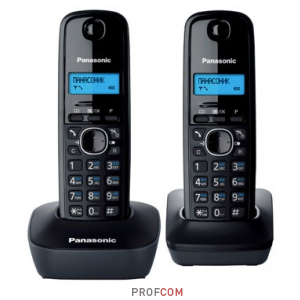 Беспроводной телефон DECT Panasonic KX-TG1612RUH