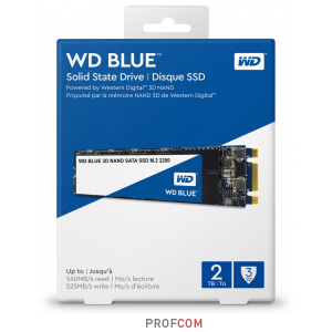  SSD M.2 SATA 2Tb WD Blue (WDS200T2B0B)